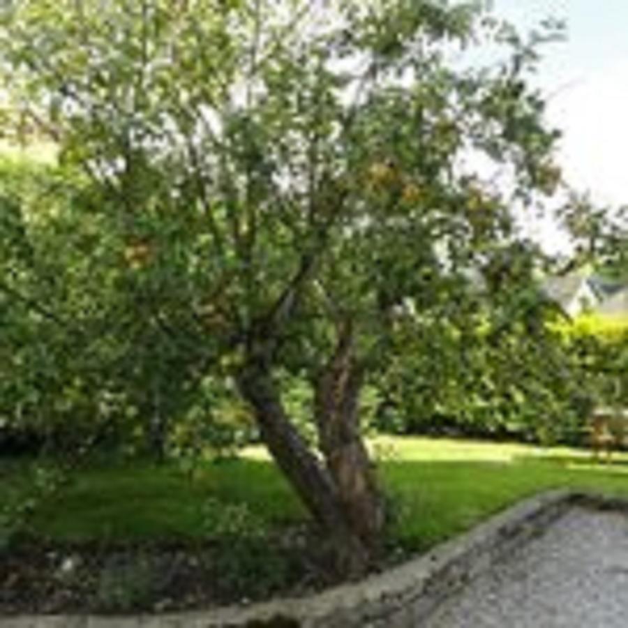 Cheshire House Guest House Hope Bagian luar foto